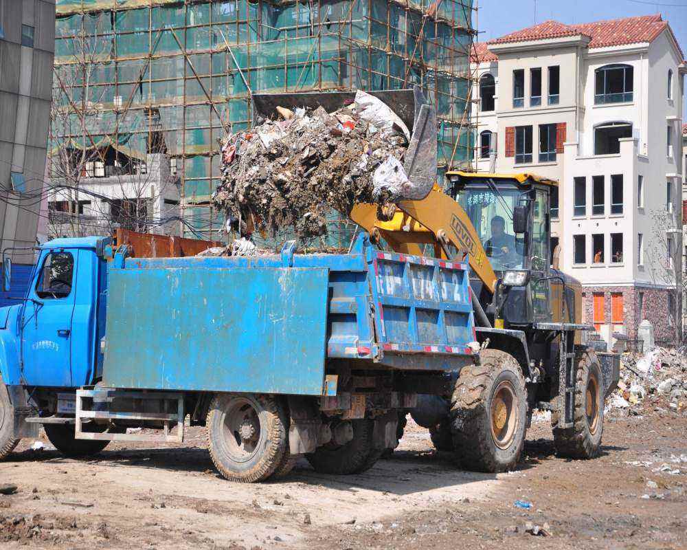 ���I�������\̎��